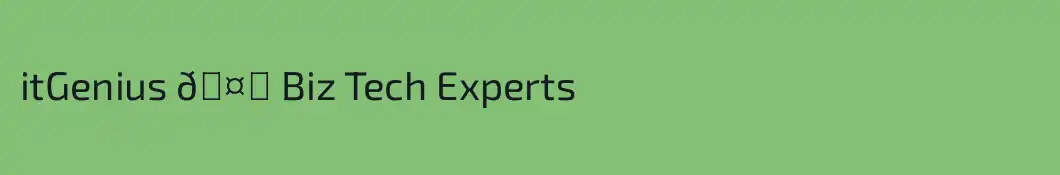 itGenius 🤓 Biz Tech Experts